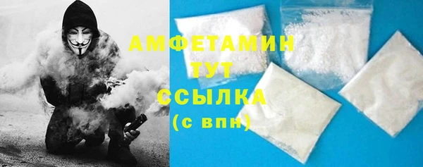 молекула духа Арсеньев