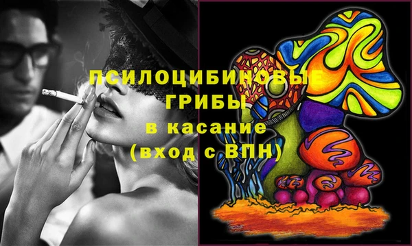 молекула духа Арсеньев