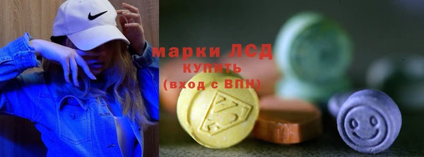 молекула духа Арсеньев