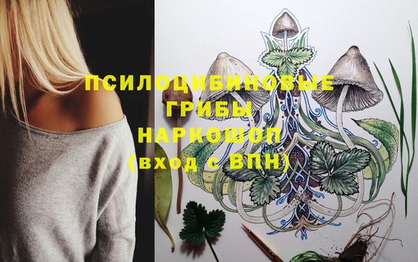 а пвп мука Аркадак