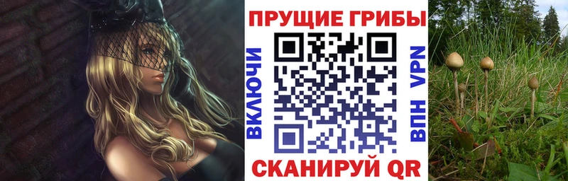 Галлюциногенные грибы GOLDEN TEACHER  купить  цена  сайты даркнета Telegram  Гуково 